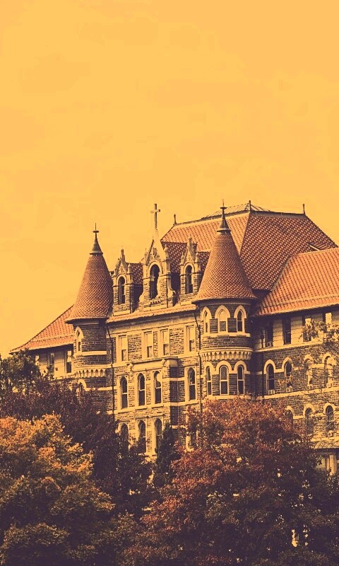 Колледж обои