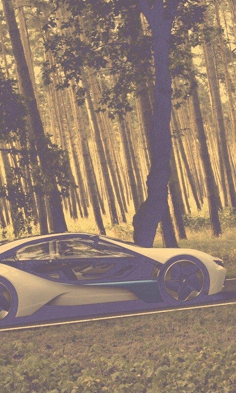 Спорткар BMW на лесной дороге обои