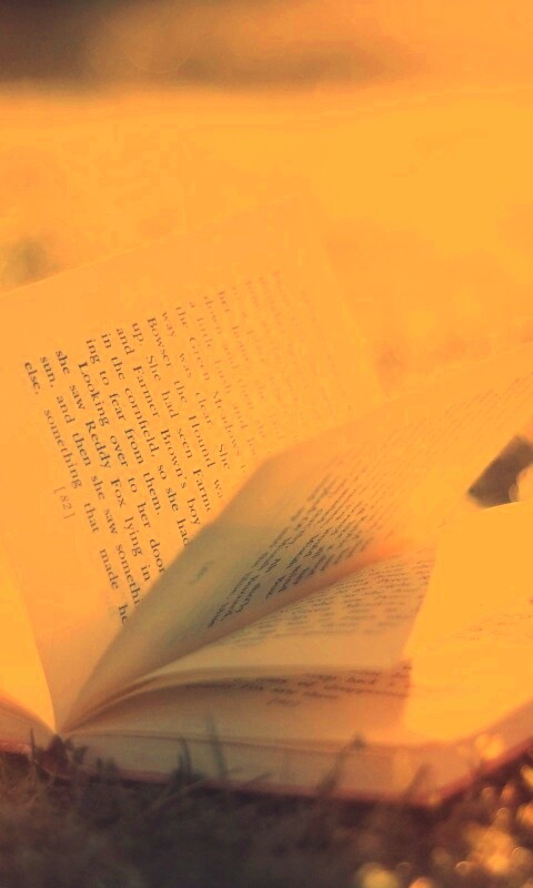 Книга в нежном свете обои