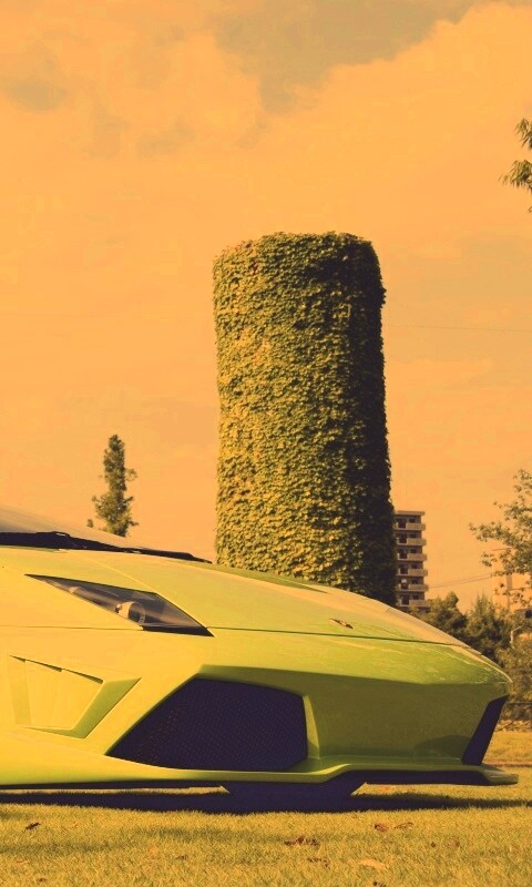 Зелёный Ламборджини на траве обои