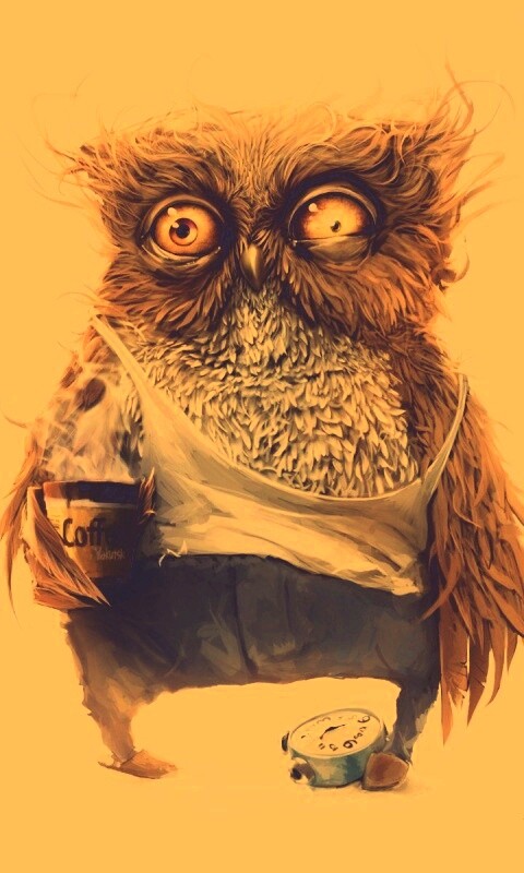 Не спящая сова обои