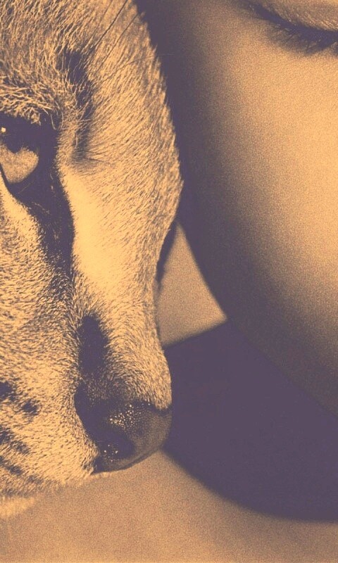 Человек и природа обои