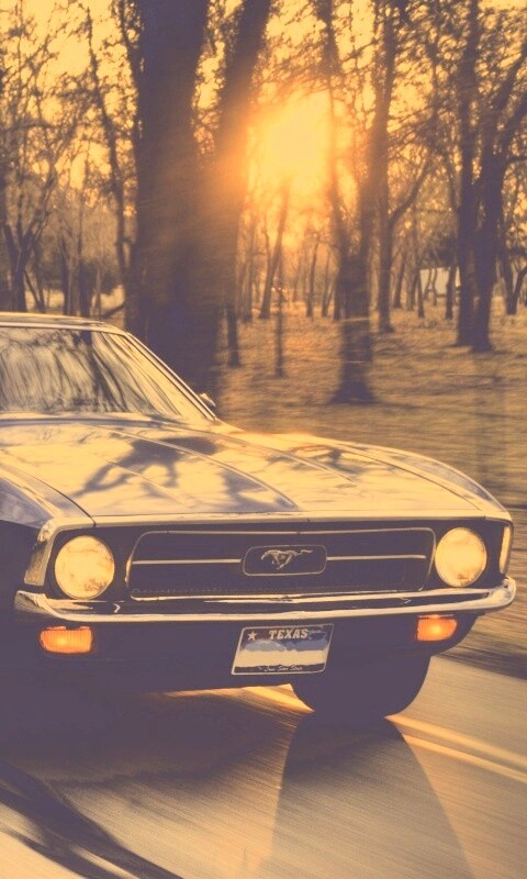 Мустанг обои