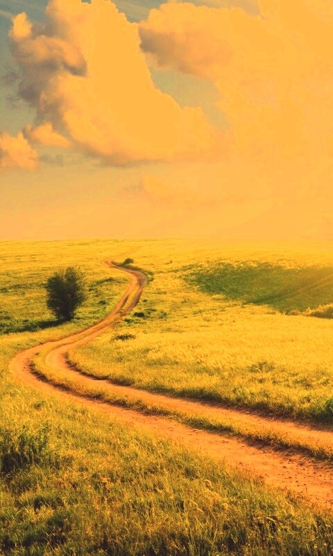 Дорога через луг обои