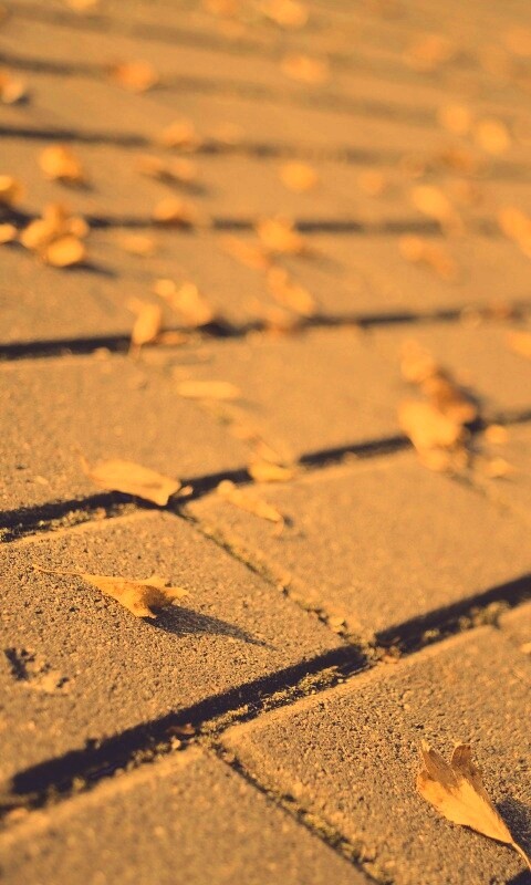 Тротуар обои