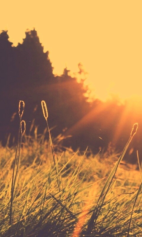 Красота природы обои