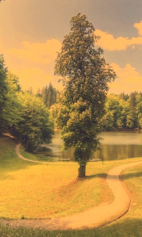 Прекрасная природа обои