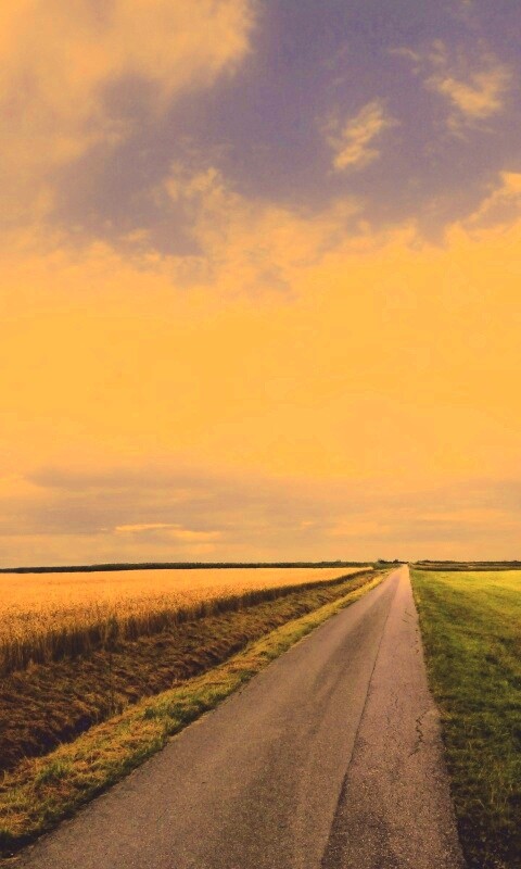 Сельский пейзаж обои