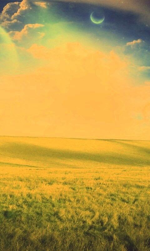 Луг на другой планете обои