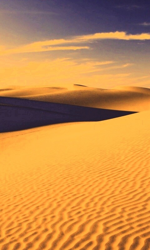 Пустыня Сахара обои