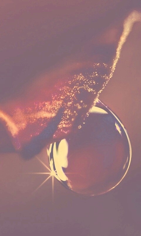 Макро капля на лепестке обои