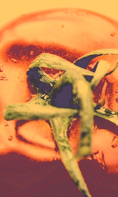 Свежая помидорка обои