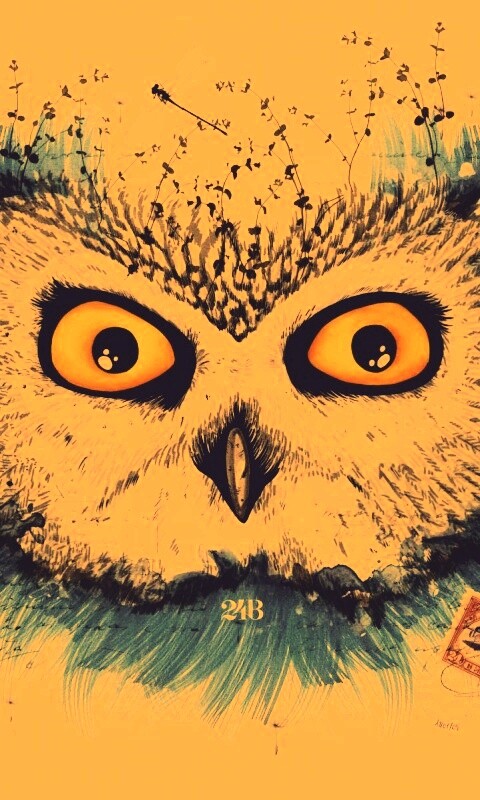 Обои сова для mac book обои