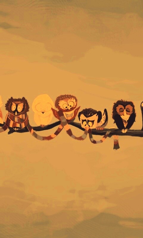 Совы на ветке обои