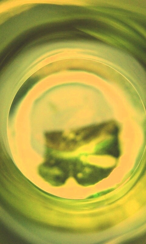 Зеленая бутылка обои