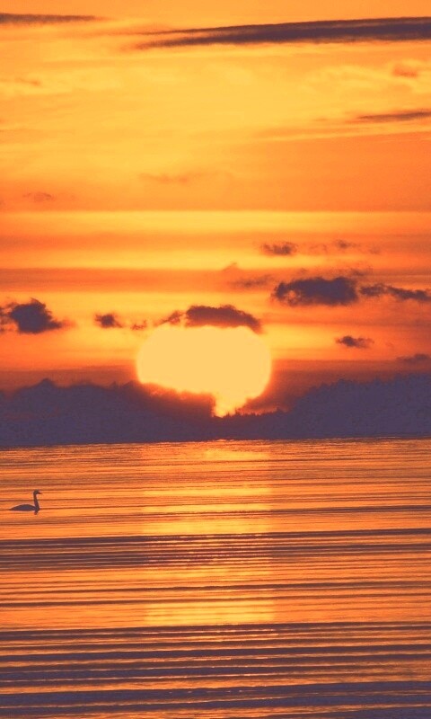 Великолепный рассвет обои