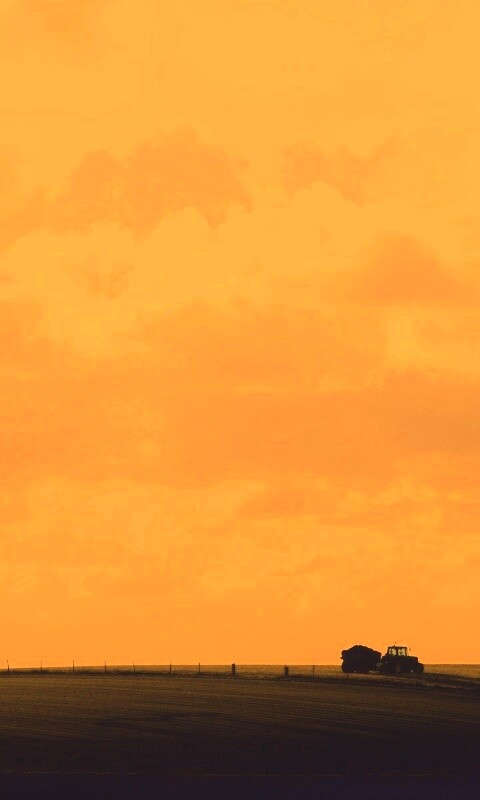 Прекрасный день обои