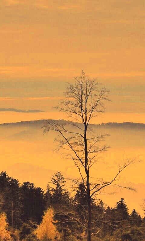 Холмы в тумане обои