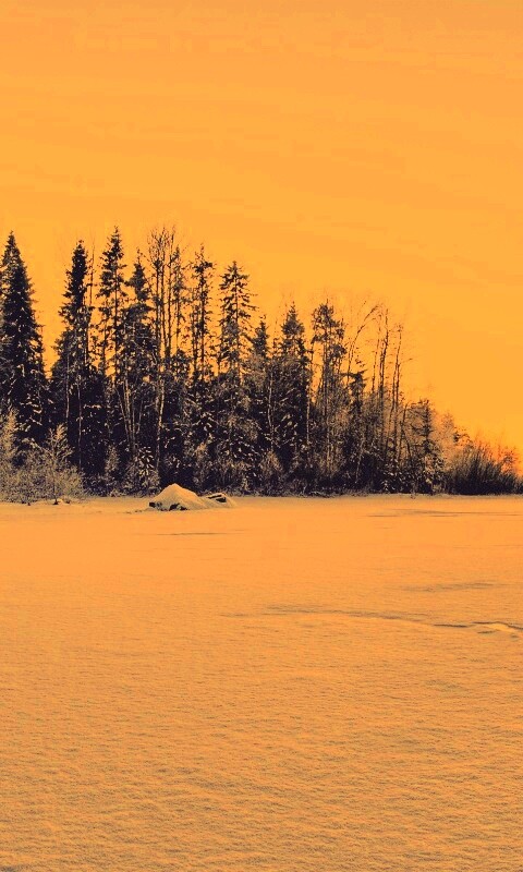 Зимний закат обои