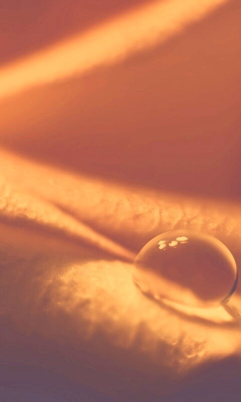 Капелька обои