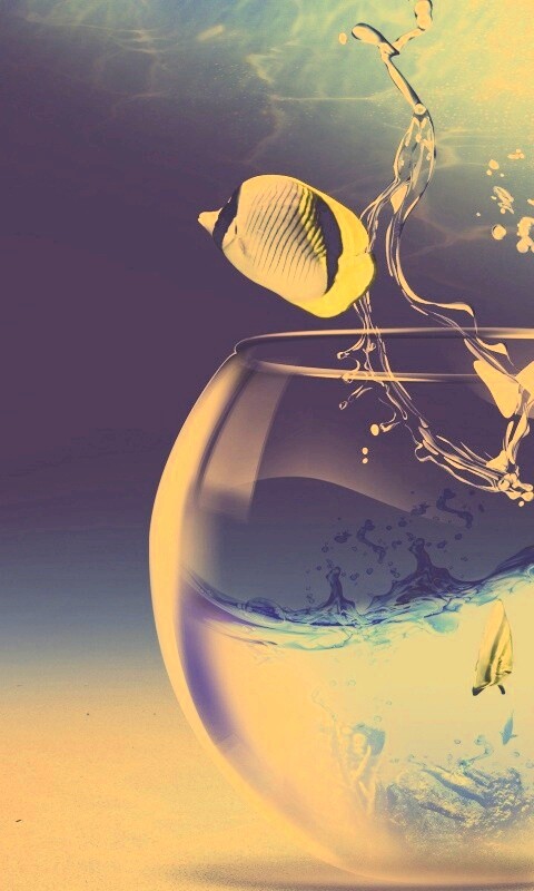 Аквариум с рыбками обои