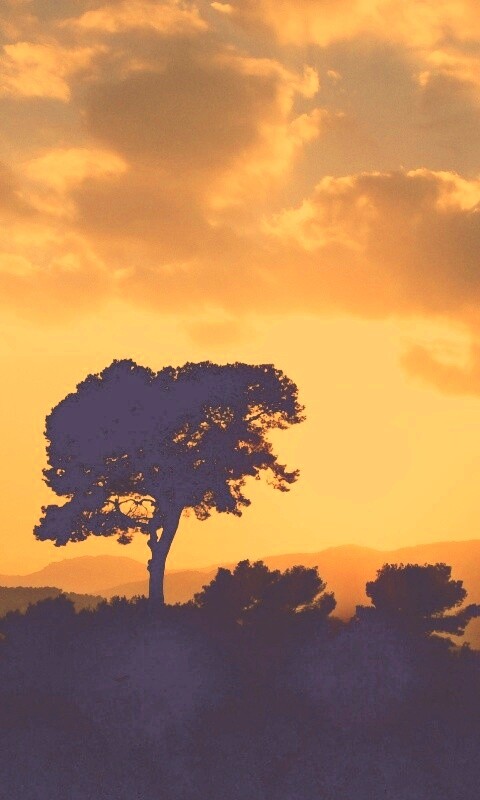 Закат над холмами обои