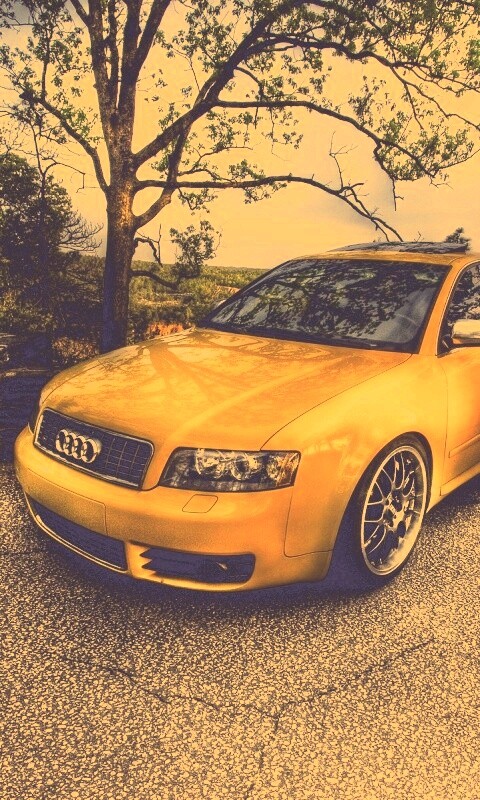 Желтый Ауди на дороге обои