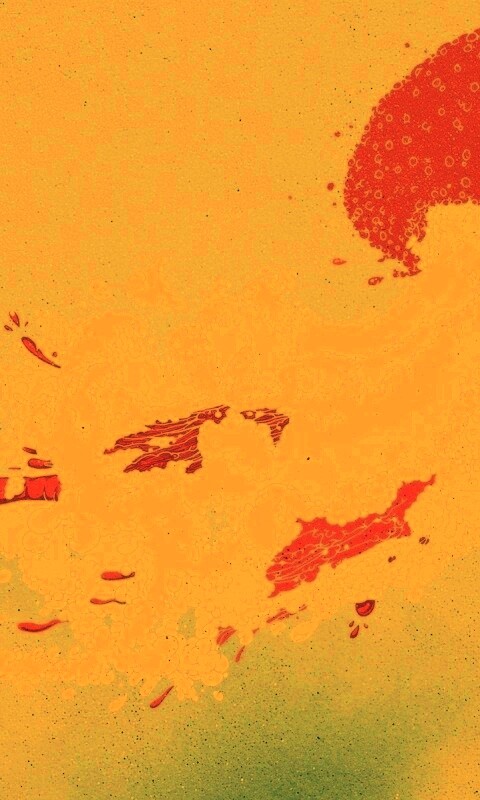 Розовая медуза обои