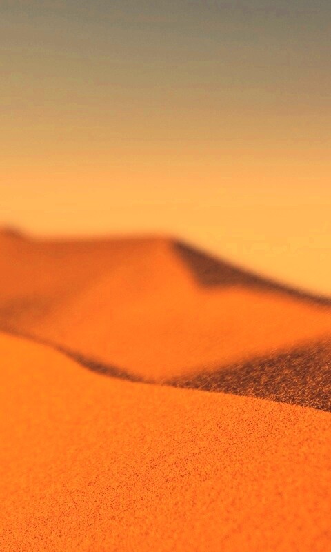 Раскаленные пески обои