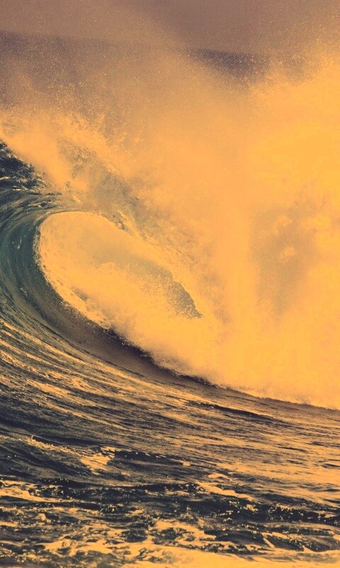 Лови волну обои