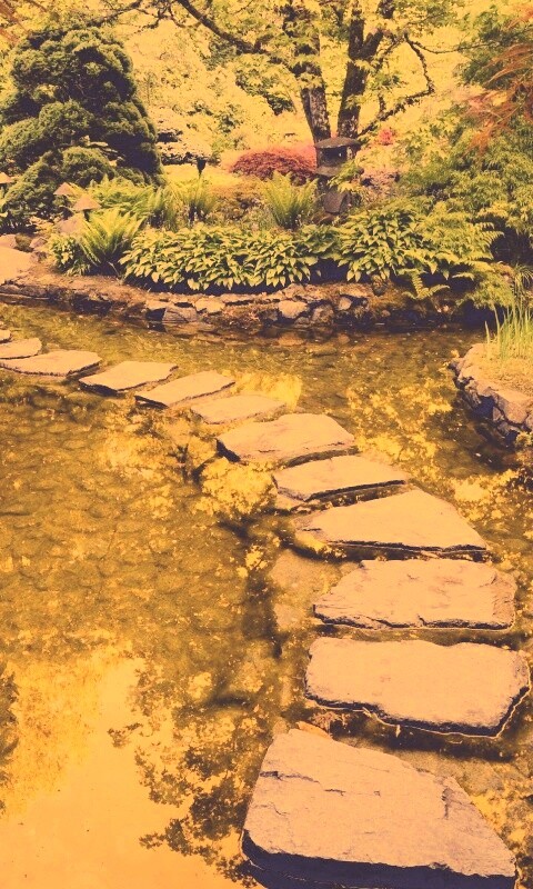 Дорожка через пруд обои