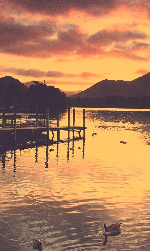 Причал на озере и утки обои