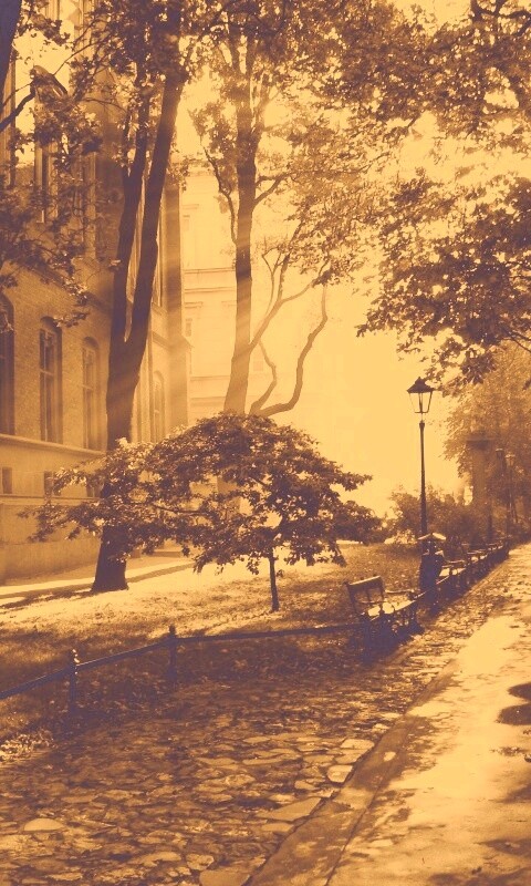 Аллея у здания обои