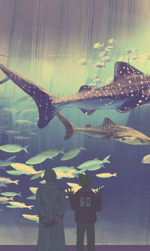 Двое в океанариуме обои