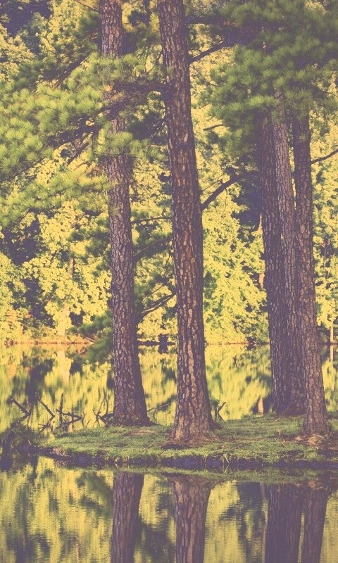 Островок посреди озера обои