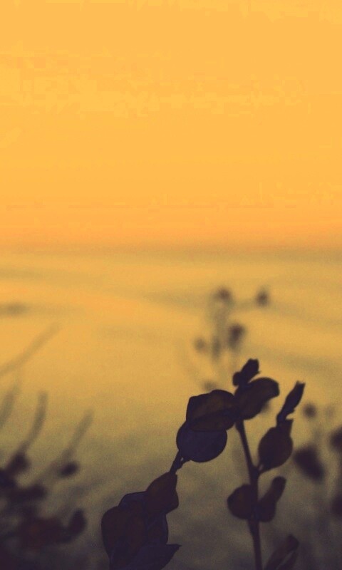 Расплывчатый берег обои