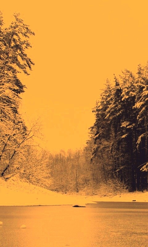 Зимняя дорога обои