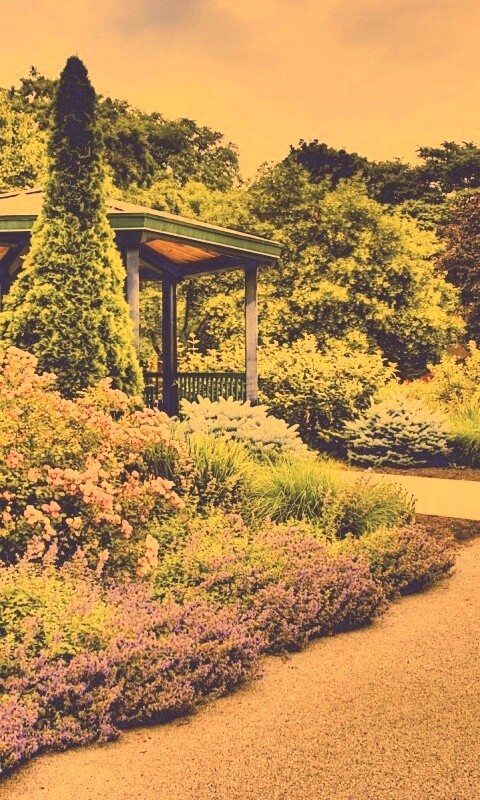 Ландшафтный дизайн обои