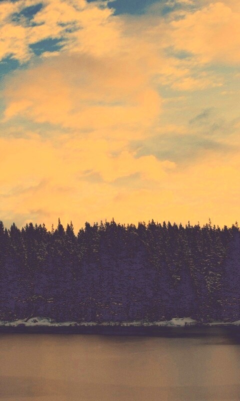 Лес на озере обои