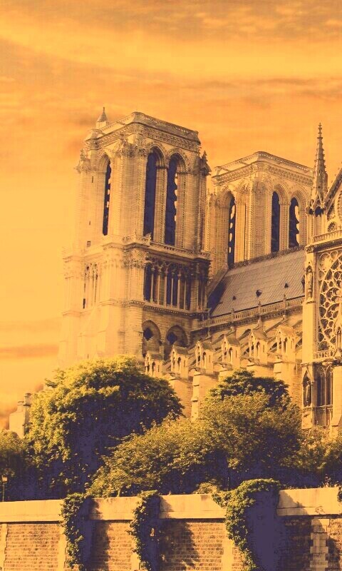 Собор парижской Богоматери обои