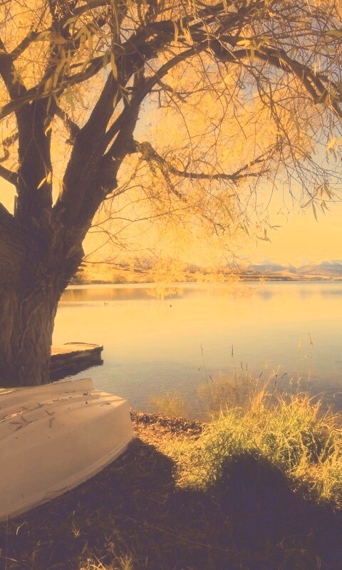 Осеннее озеро обои