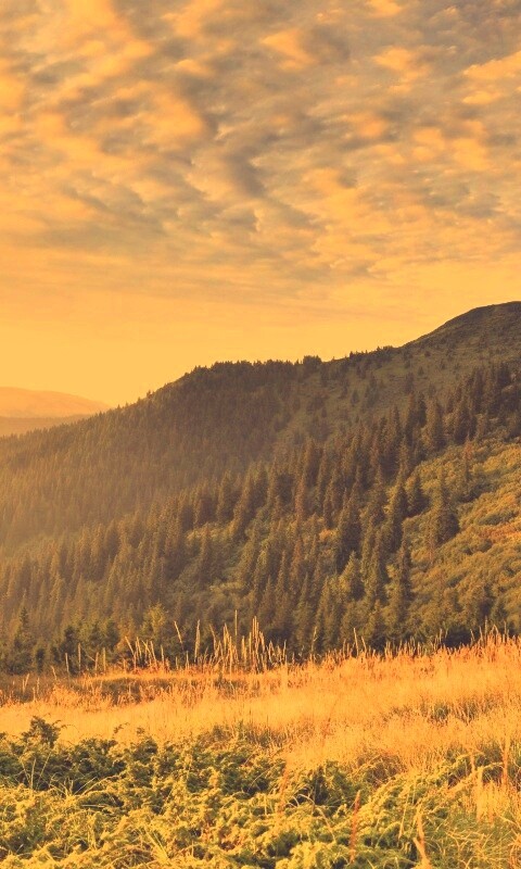 Предгорье обои