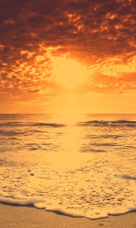 Берег моря в лучах заката обои