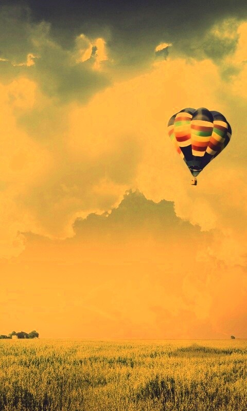 Воздушный шар над зеленым лугом обои