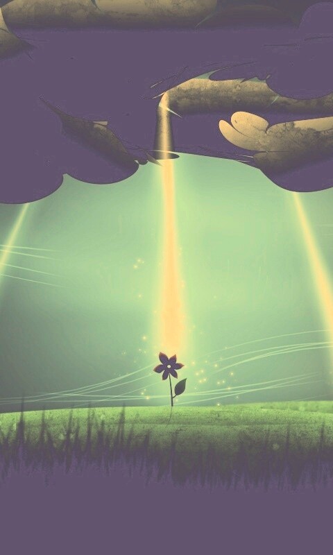 Свет для цветов обои