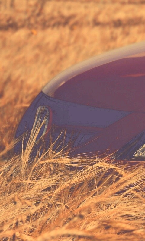 Мазда в пшенице обои