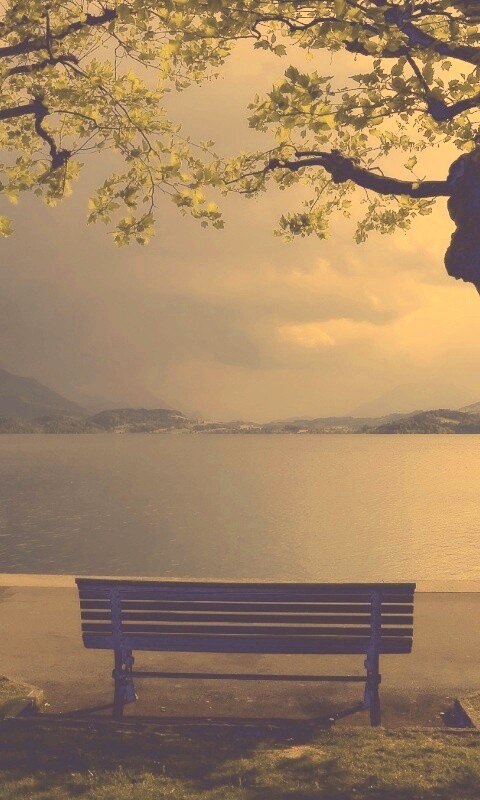 Скамейка на берегу обои