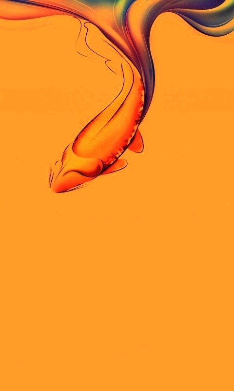 Золоая рыбка  обои