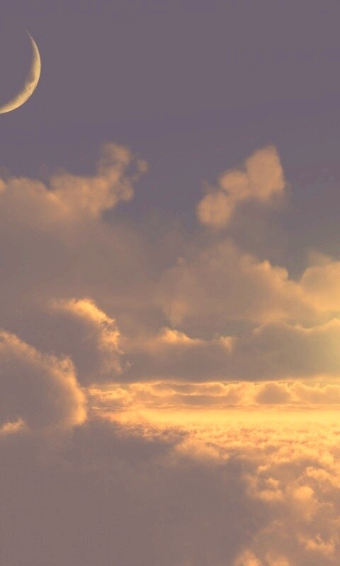 Над облаками обои