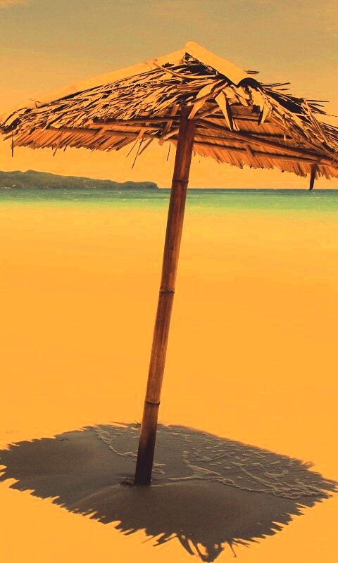 Тросниковый зонт обои